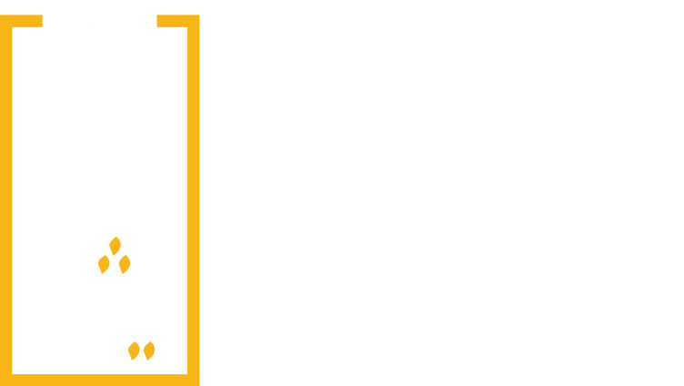 LantroTech Esaar Program Logo