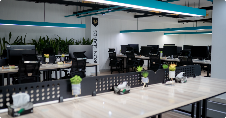 LantroTech's workspace including computers and plants.